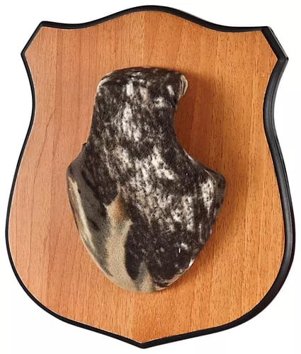 Allen 569 Heirloom Mounting Pl