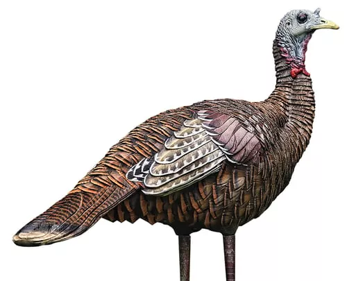 Avian-X LCD Lookout Hen Turkey