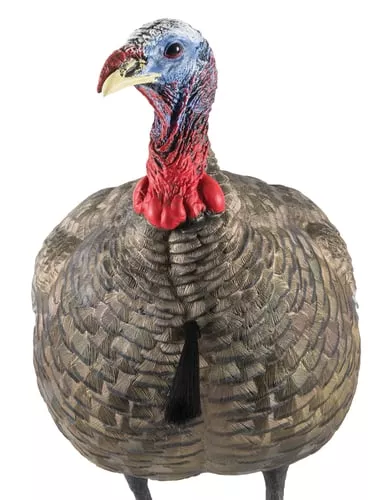 Avian-X LCD Quarter-Strut Jake