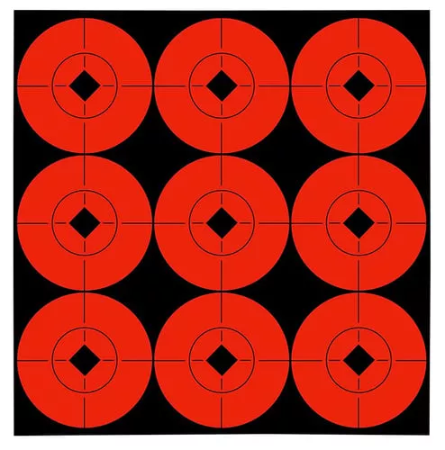 Birchwood Casey 33902 Target S