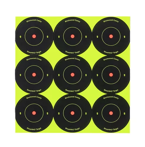 Birchwood Casey Shoot-N-C Targ