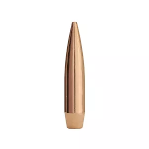 Factory Second Match 6mm, 243 Caliber (243 Diameter) Bullets 107 Grain Jacketed Hollow Point Box of 100 (Bulk Packaged)