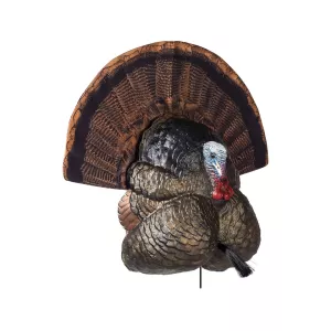 Flextone Thunder Creeper Full Strut Turkey Decoy