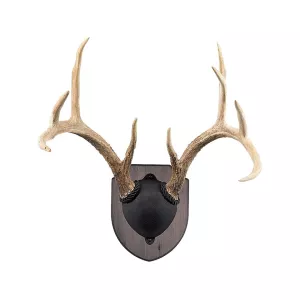 Foggy Bottom Woodworks Antler Mounting Kit Rustic Pine