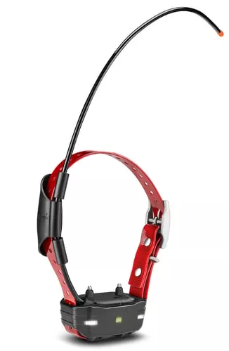 Garmin 0100120920 TB10 Dog Dev