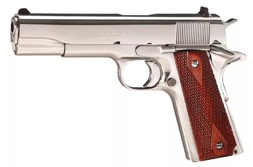 GOVERNMENT 38SPR POLISH SS 5"# |