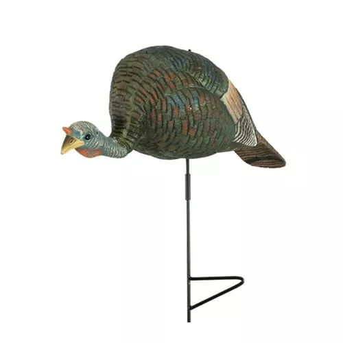 The Grind Bugging Hen Turkey D