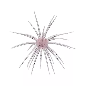Hideup Coike 13mm Creature Clear Salmon Pepper
