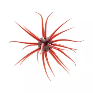 Hideup Coike Fullcast Creature Scuppernong