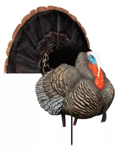Higdon Outdoors Apex Strutter