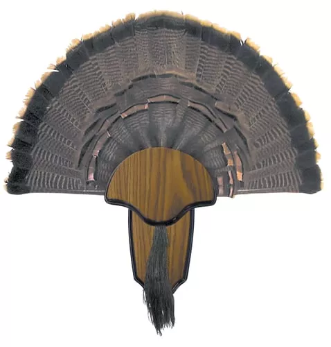 HS STRUT MOUNTING KIT TURKEY T