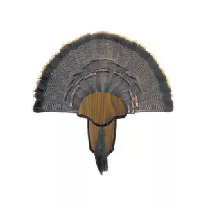 HS Strut Tail and Beard Turkey Mounting Kit
