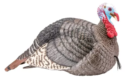 HS STRUT TURKEY DECOY JAKE STR