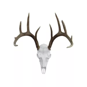 Illusion Systems Record Keeper Antler Mounting Kit