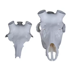 Illusion Systems Skull Master Elk Antler Mounting Kit