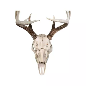 Illusion Systems Skull Master Natural Causes Universal Antler Mounting Kit
