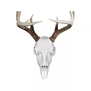 Illusion Systems Skull Master White Universal Antler Mounting Kit