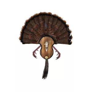 Illusion Systems Utimate Turkey Fan Mounting Plaque