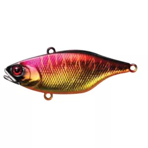 Jackall TN 60 Lipless Crankbait Spawn Tiger