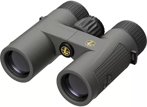 Leupold BX-4 Pro Guide HD Bino
