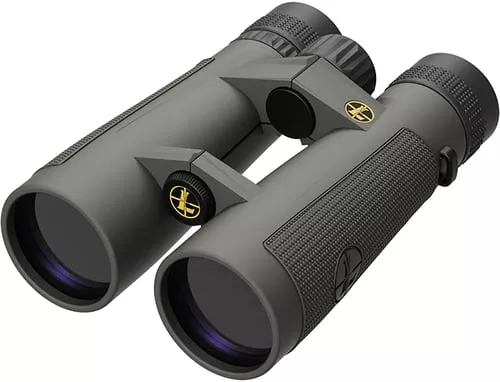 Leupold BX-5 Santiam HD 10x50m