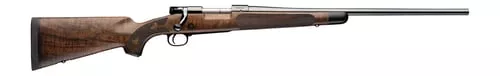 M70 SUPER GRADE 243WIN CLARO # | AAA CLARO | EBONY FOREARM TIP