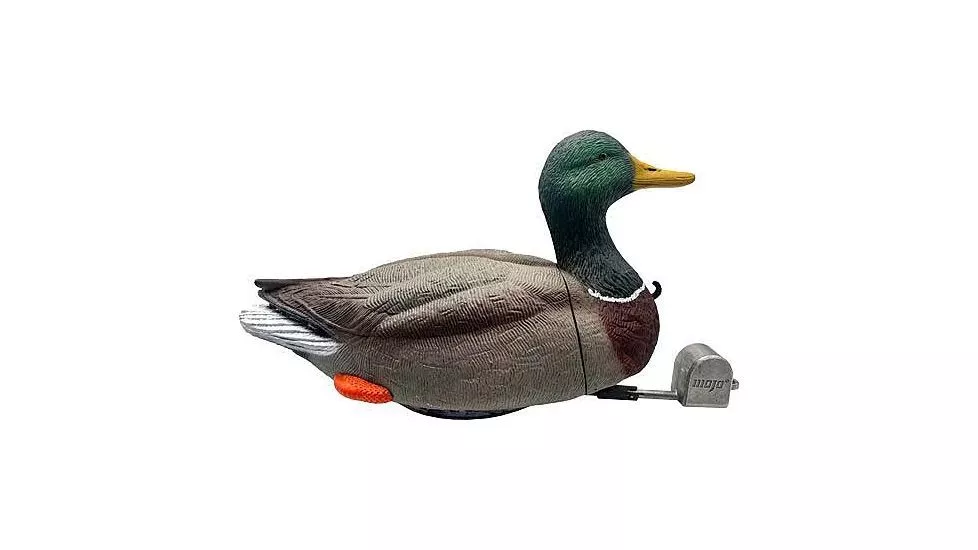 Mojo Outdoors Dabbler Duck (HW2554)