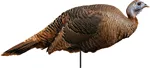 MONTANA DECOY TURKEY SPRING FL
