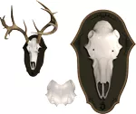 MOUNTAIN MIKE'S BLACK FOREST D