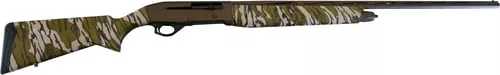 POINTER PHENOMA 410/28 BZ/CAM#