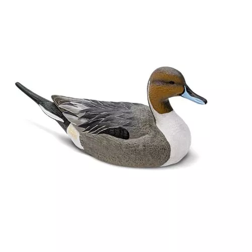 Rig'Em Right Mainline Series P