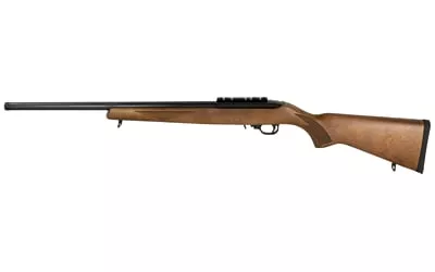 RUGER 10/22 LIGHT VARMINT TARG