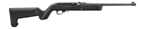 Ruger 32017 10/22 Takedown 22