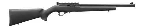Ruger 32024 10/2222 LR 10+1