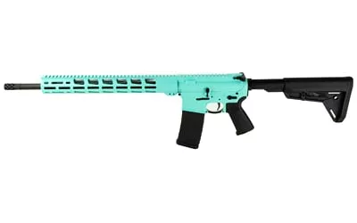 RUGER AR556 MPR 223 30-SHOT TU