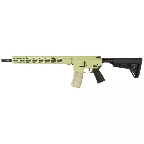 RUGER AR556 MPR 300 AAC MAGPUL