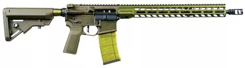 STAG 15005612 15 PJCT SPCTRM 5
