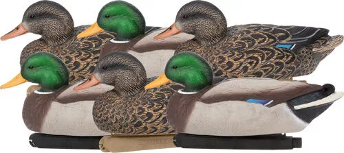 Zink Mallard Floater Decoys 6/